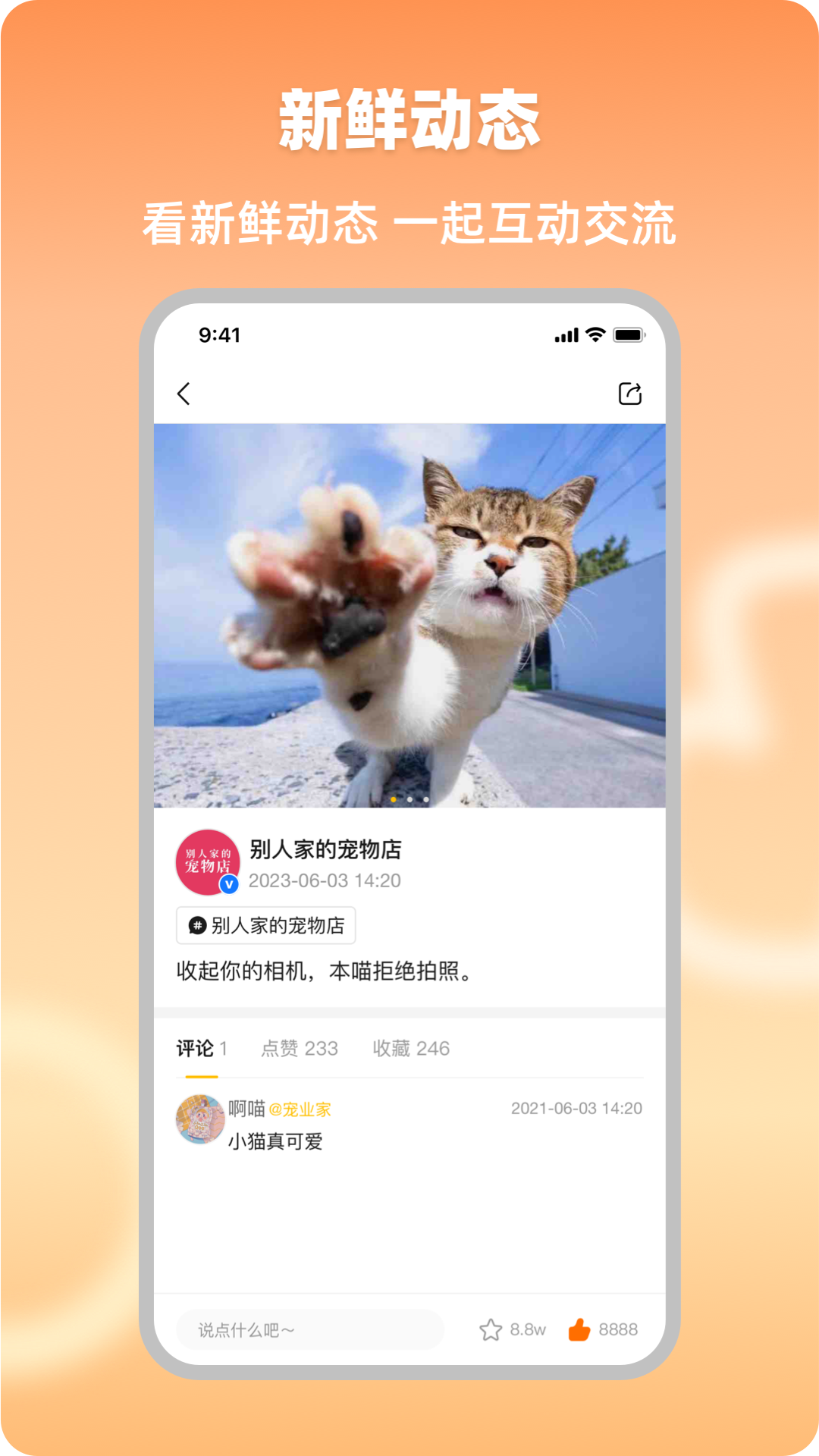 宠业家图2