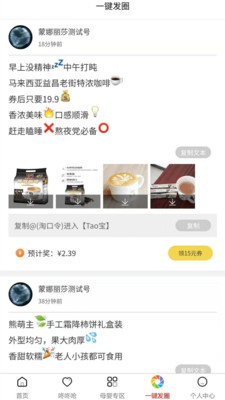 放价猫图3