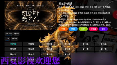 西夏CatBox图1