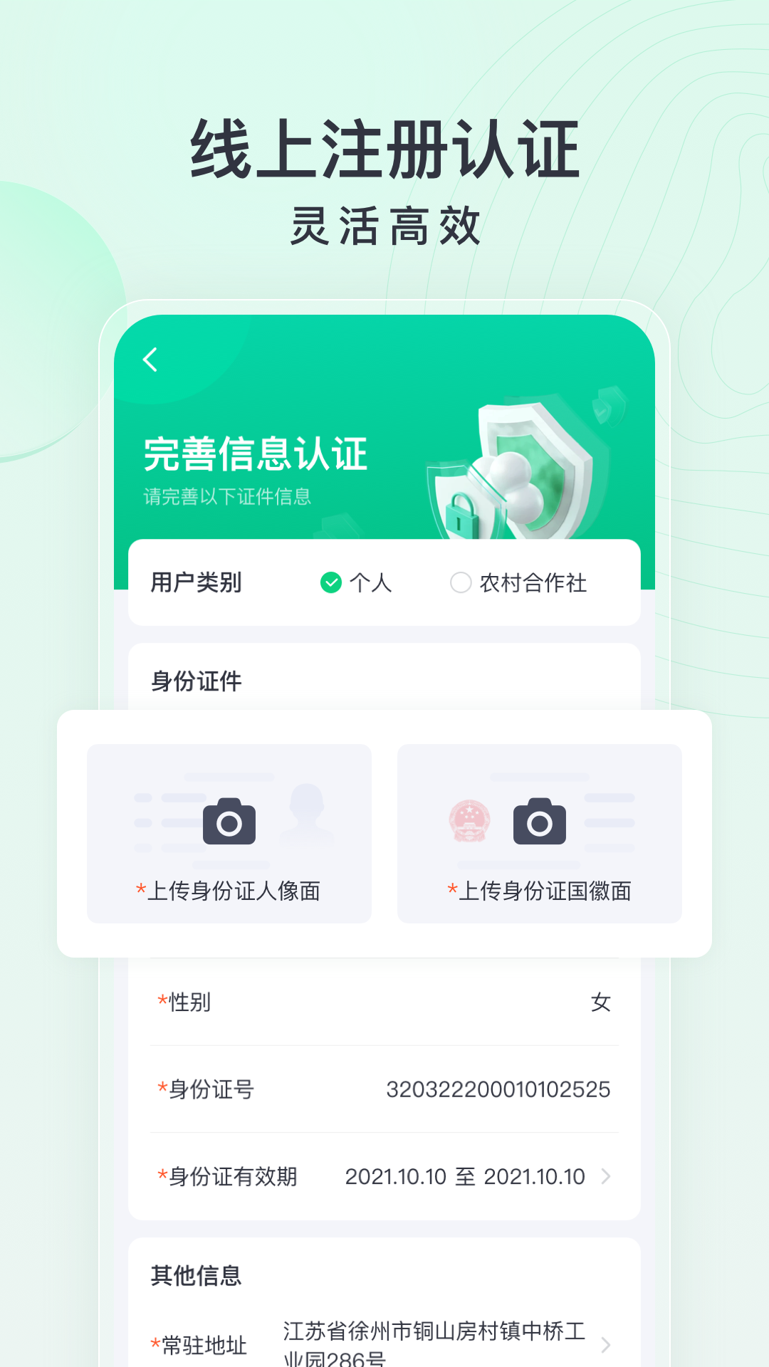 马力多图3