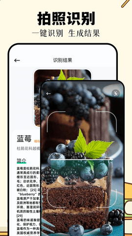 识万物扫一扫