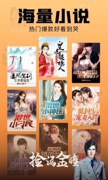 洋葱免费小说图5
