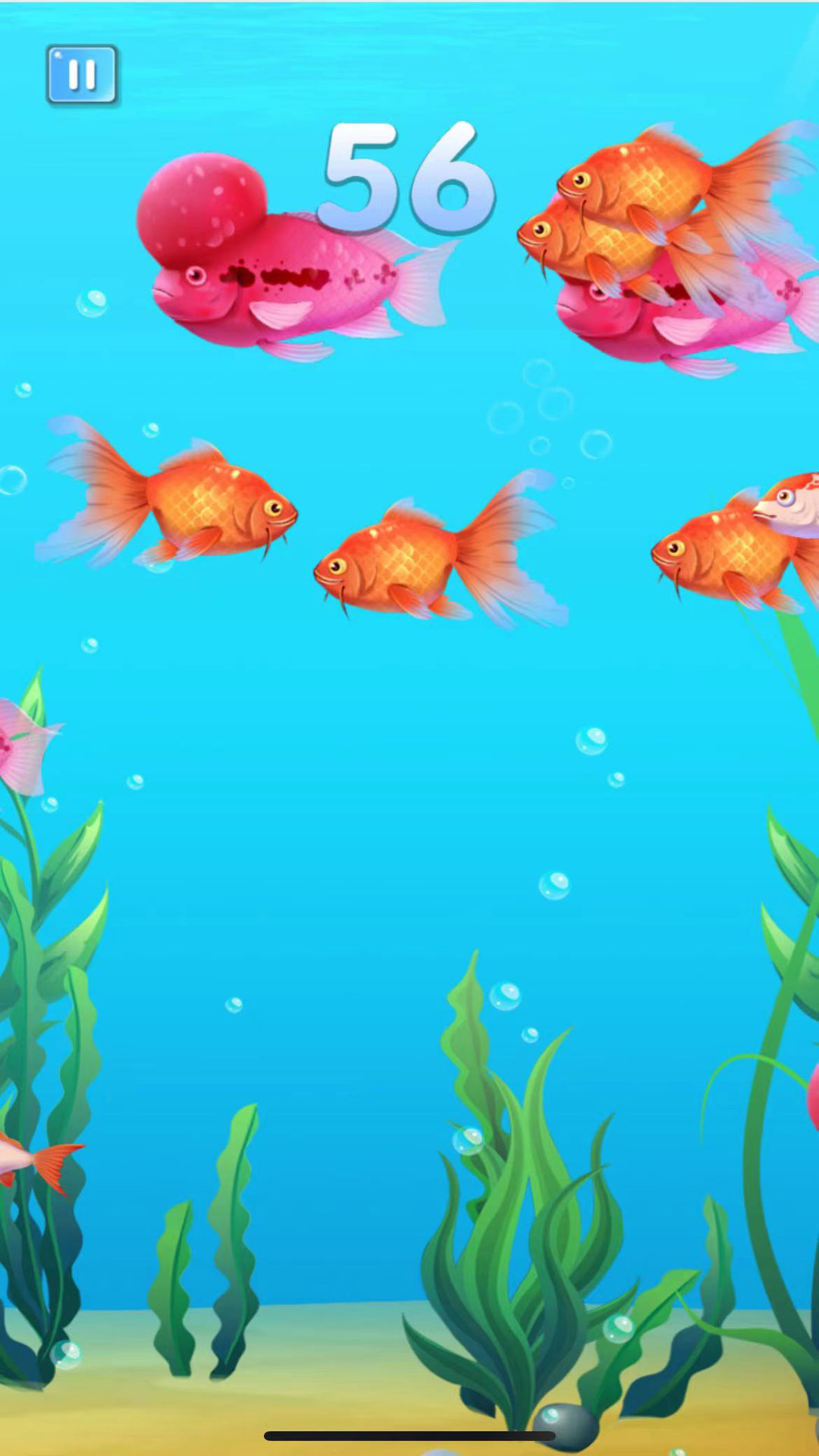 海洋霸主进化记图3