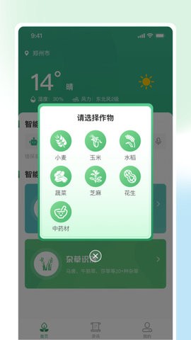 耘苗拍 耘苗拍
