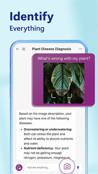 微软Bing国际版图4