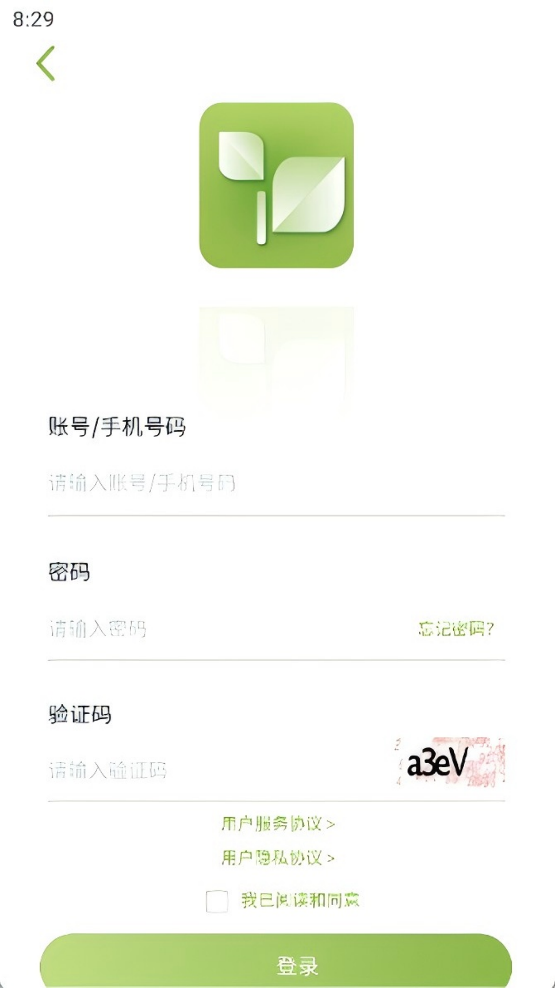乾茶