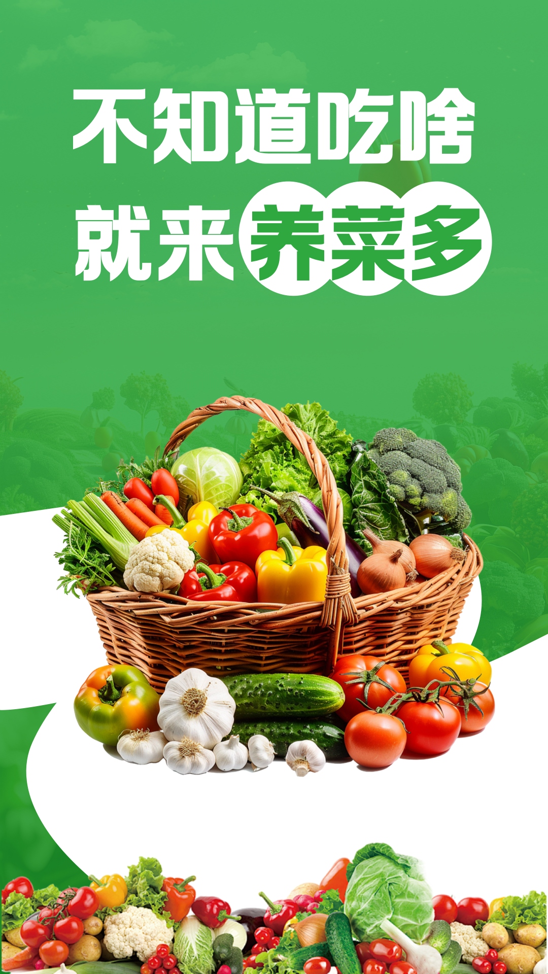 养菜多图2
