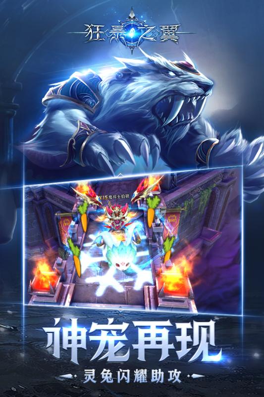 狂暴之翼图1