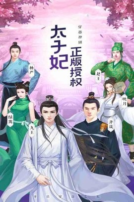 太子妃升职记图4