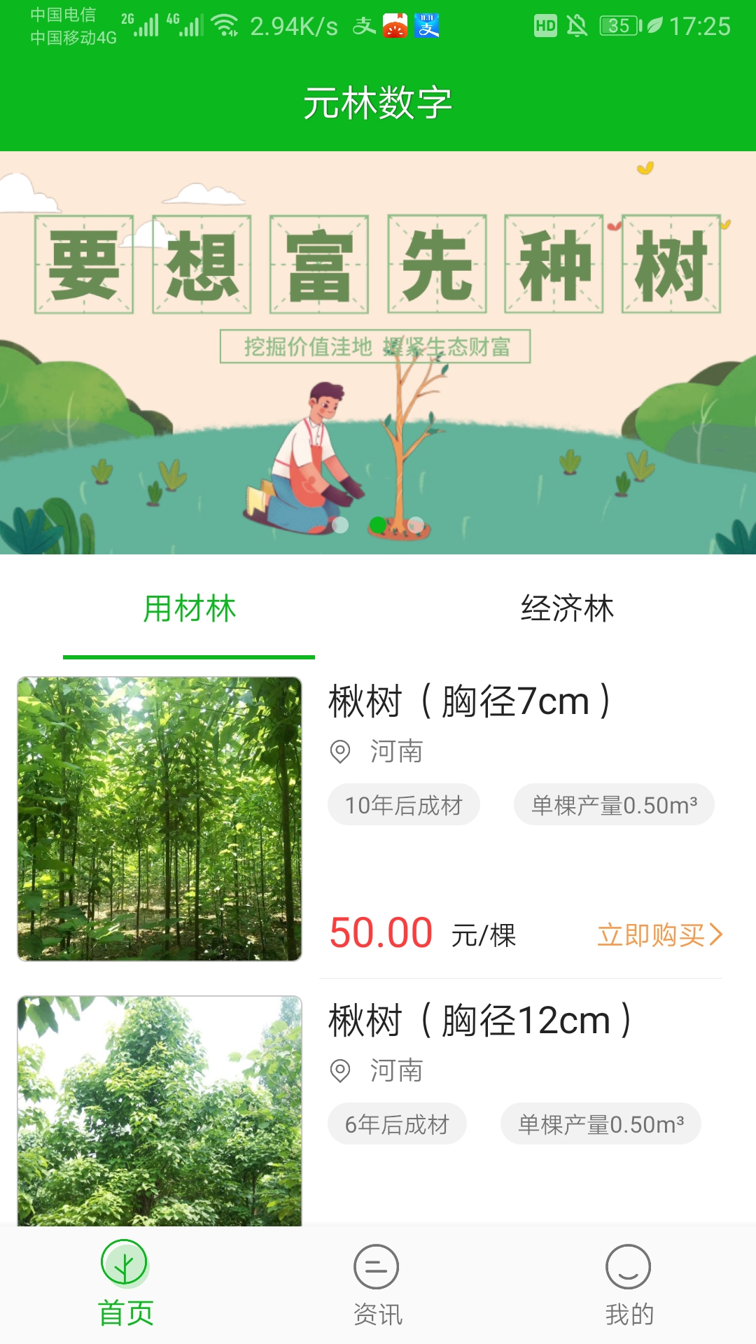 元林数字