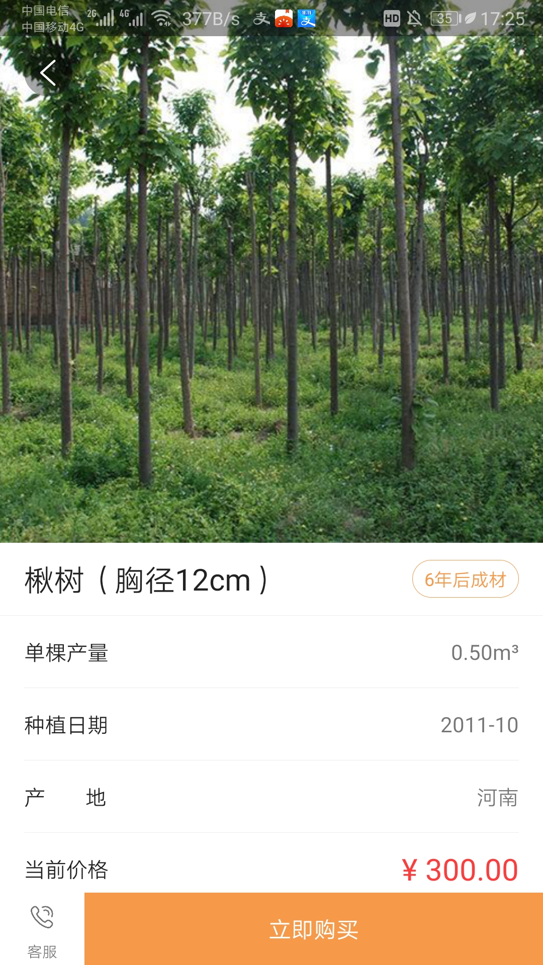 元林数字图2