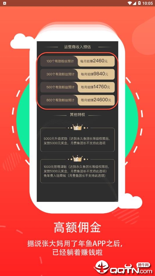 年鱼收藏
