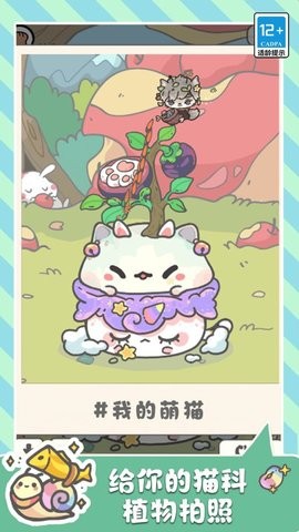 萌猫奇妙世界