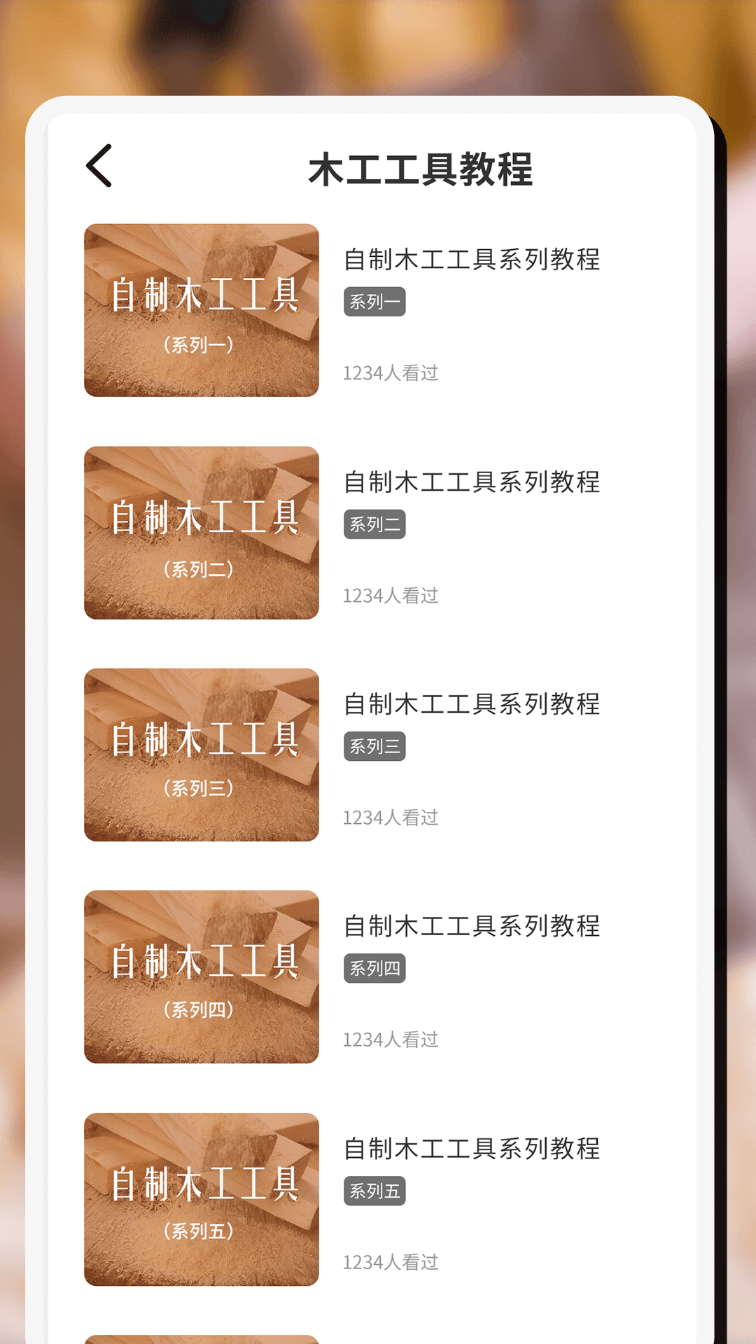 木头师傅图4
