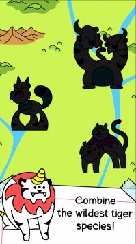 老虎进化Tiger Evolution