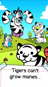 老虎进化Tiger Evolution图3