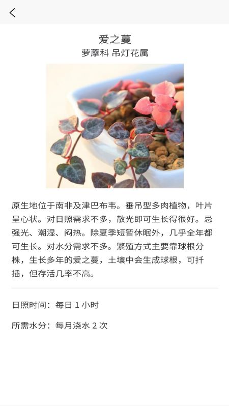 嘟嘟多肉植物鉴图4