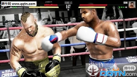 真实拳击2中文安卓版图2