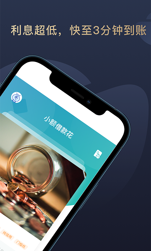 小额借款花图3