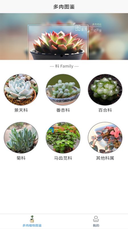 嘟嘟多肉植物鉴图2