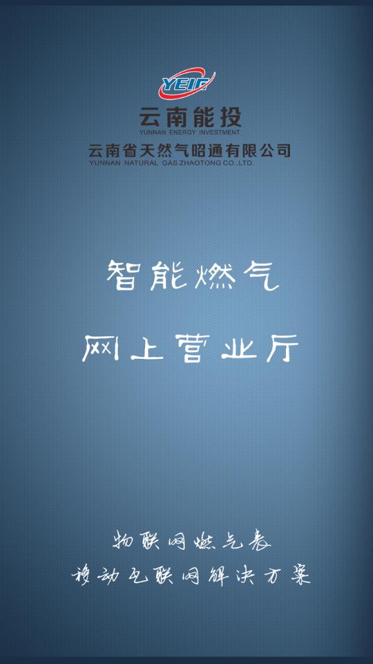 昭通燃气图1