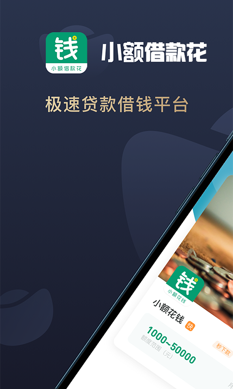 小额借款花图4