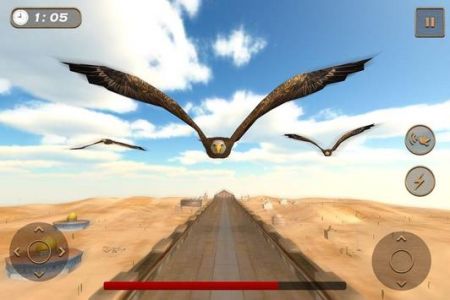 Bird Racing Simulator: Eagle Race Game图3