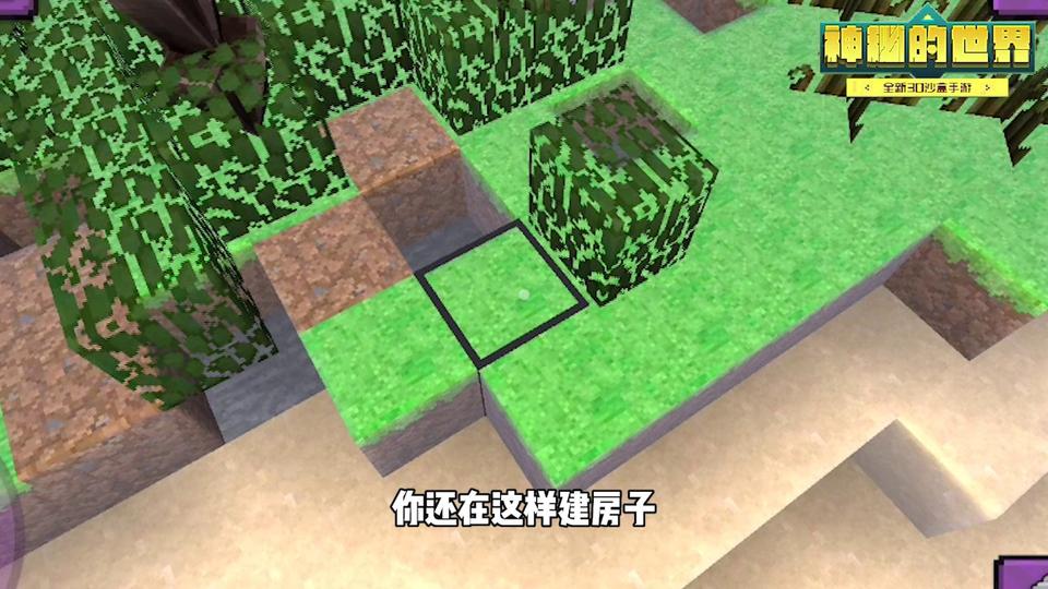 Sam(神秘的世界游戏)图2