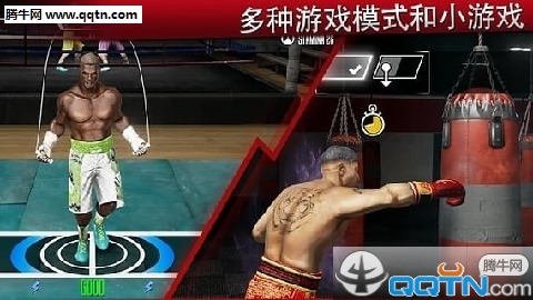 真实拳击2中文安卓版