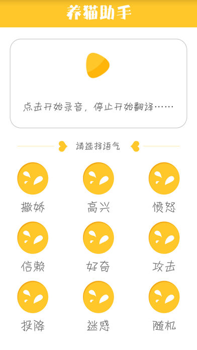 养猫助手 养猫助手