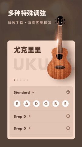 八分仪吉他调音器图4