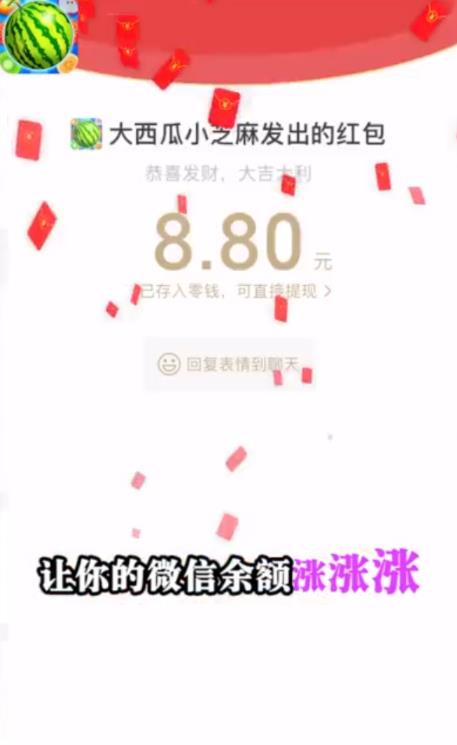 大西瓜小芝麻图4
