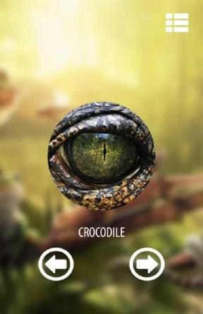 Vision animal simulator动物视觉模拟器app下载图4