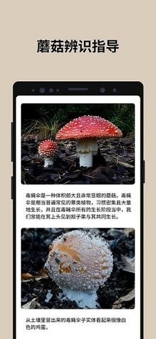 蘑菇识别图2