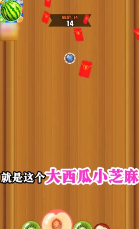 大西瓜小芝麻图1