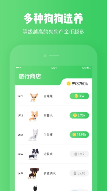神游美国