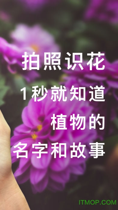 形色识花软件ios版图5