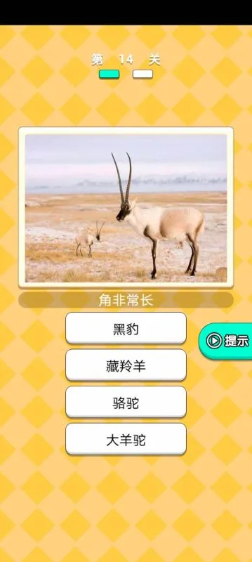 动物研究院图4