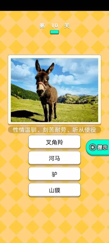 动物研究院图3