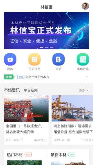 林信宝图2