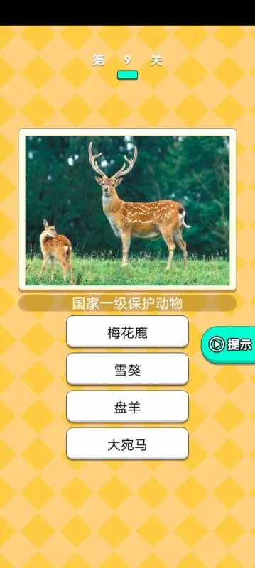 动物研究院图2