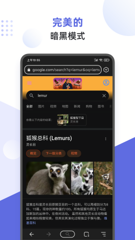 狐猴浏览器app官方版图3