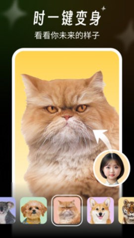桔子相机最新版