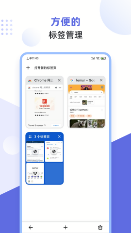 狐猴浏览器app官方版