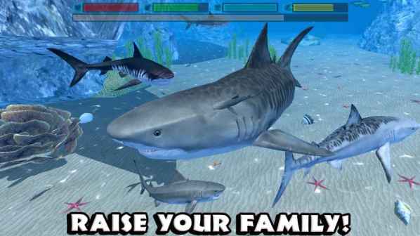 Shark Rampage: Hungry Shark图3