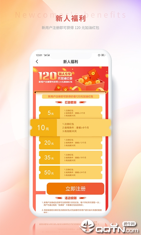 油千金图1