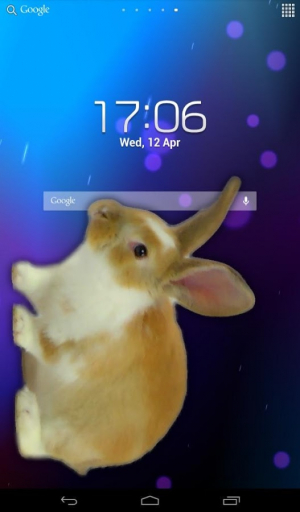 bunnyinphone安卓版下载图3