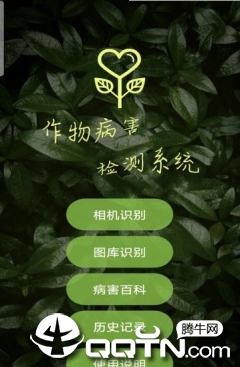 作物病害检测图1