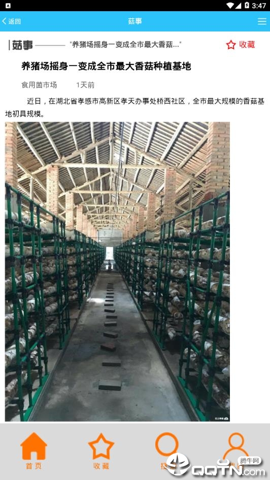 食用菌市场图2
