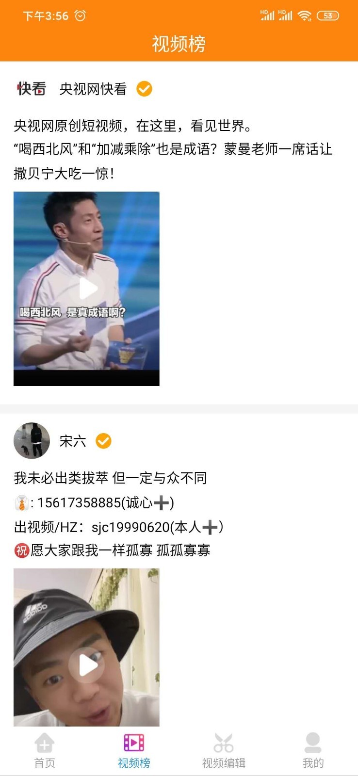 视频去水印系统图4